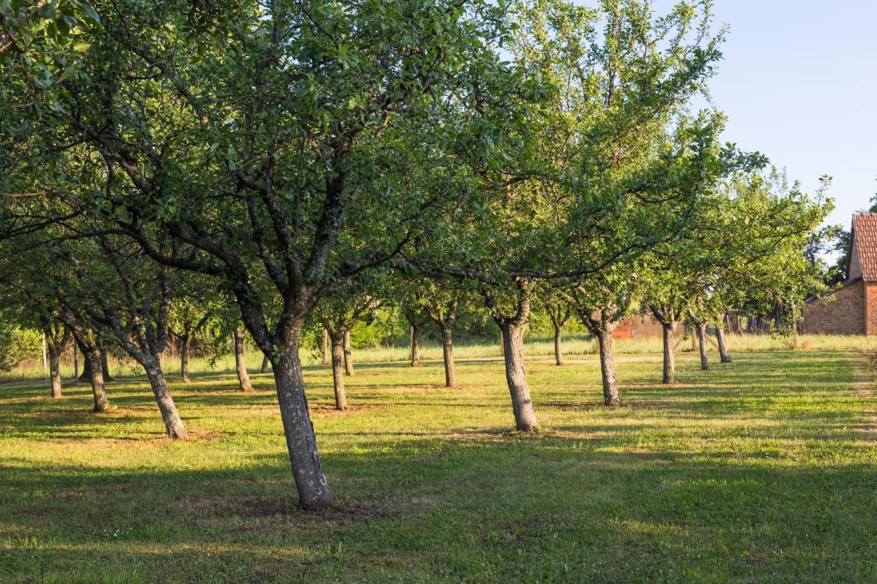 Village Wine House Mandicevac المظهر الخارجي الصورة