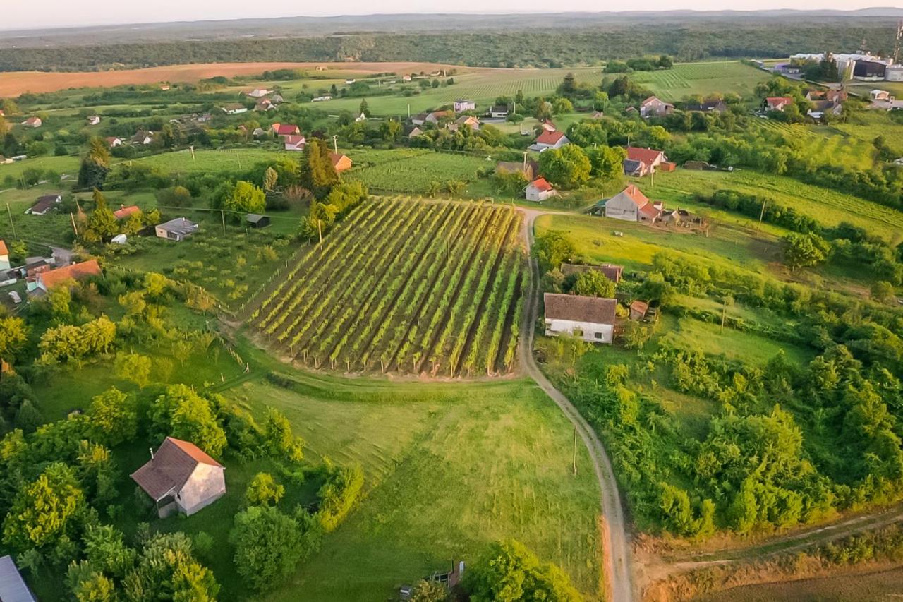 Village Wine House Mandicevac المظهر الخارجي الصورة