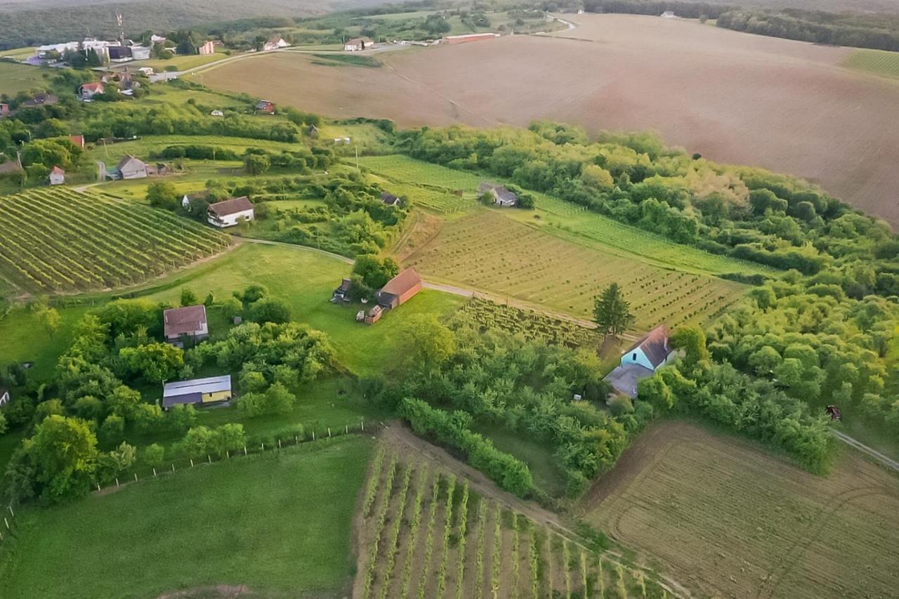 Village Wine House Mandicevac المظهر الخارجي الصورة