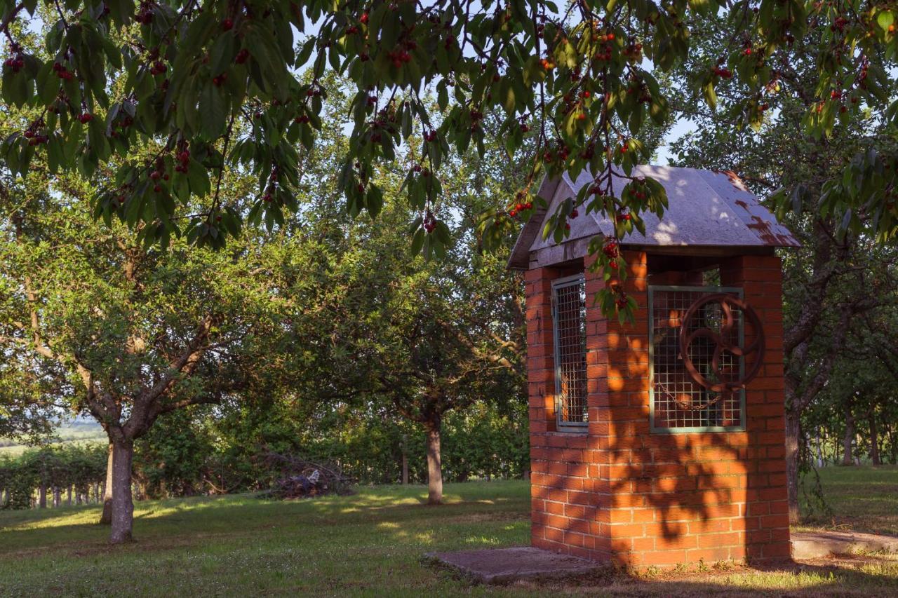 Village Wine House Mandicevac المظهر الخارجي الصورة
