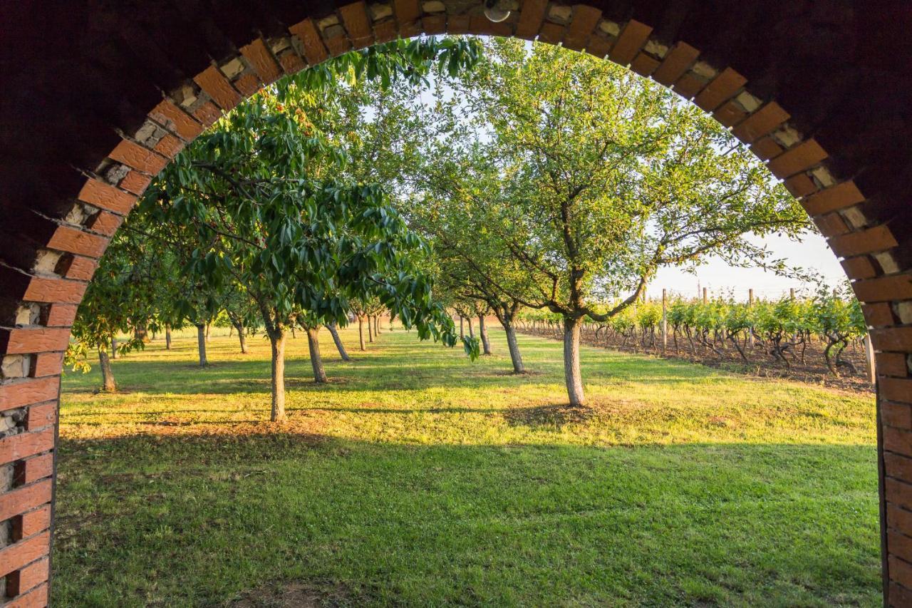 Village Wine House Mandicevac المظهر الخارجي الصورة