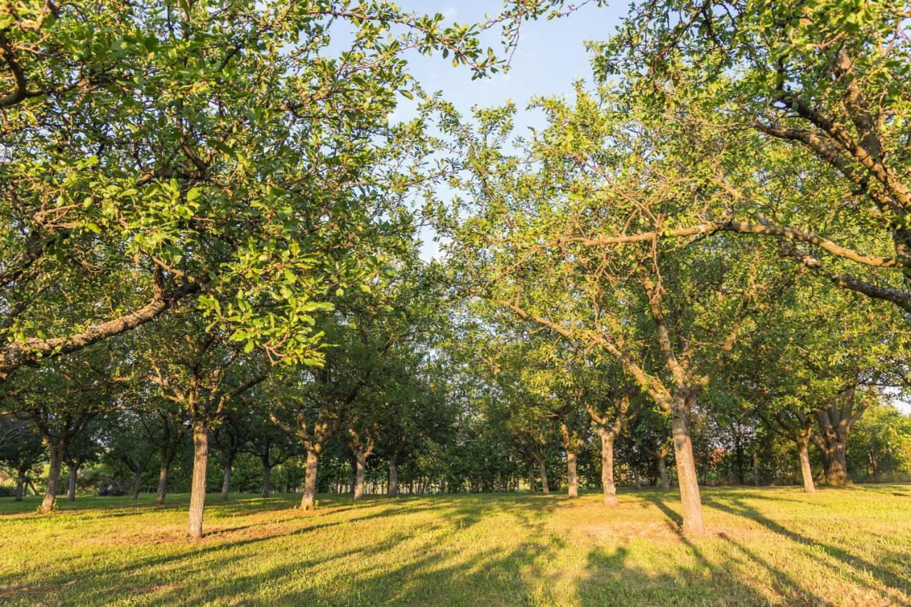 Village Wine House Mandicevac المظهر الخارجي الصورة