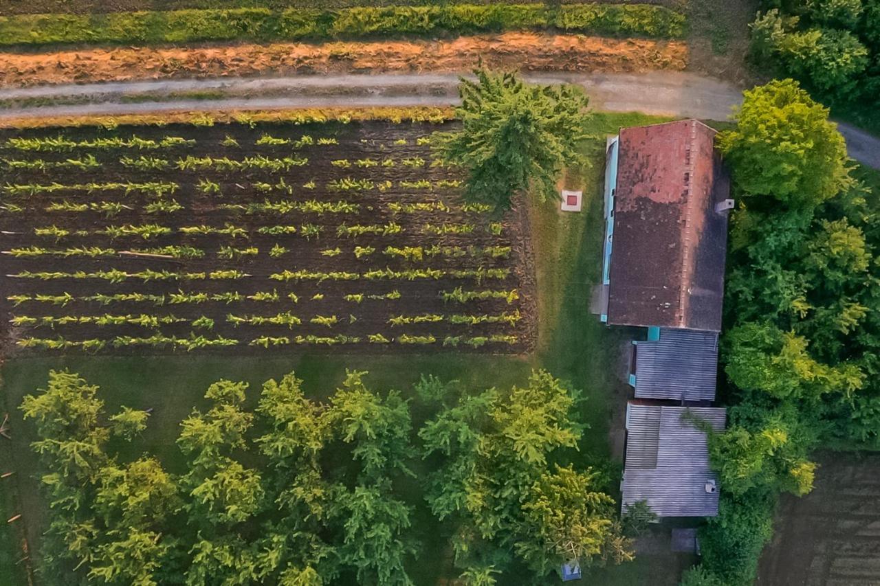 Village Wine House Mandicevac المظهر الخارجي الصورة