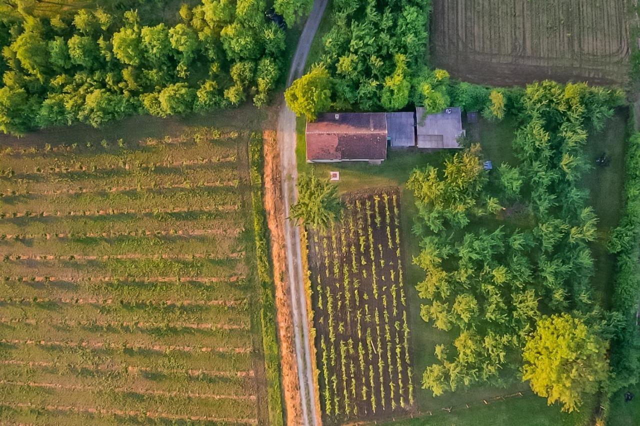 Village Wine House Mandicevac المظهر الخارجي الصورة