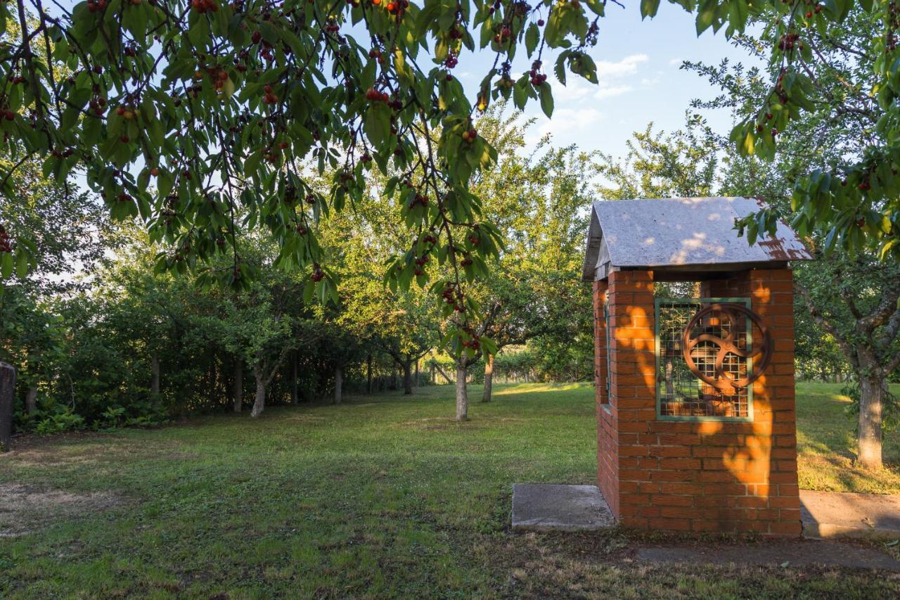 Village Wine House Mandicevac المظهر الخارجي الصورة