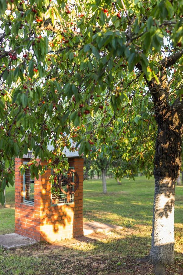 Village Wine House Mandicevac المظهر الخارجي الصورة