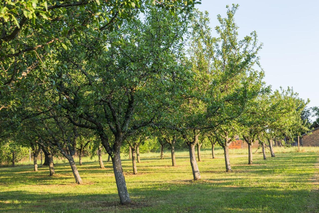 Village Wine House Mandicevac المظهر الخارجي الصورة