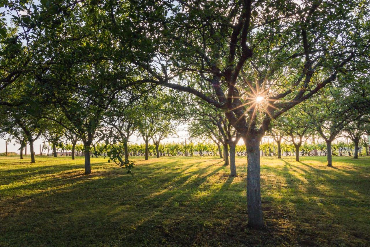 Village Wine House Mandicevac المظهر الخارجي الصورة