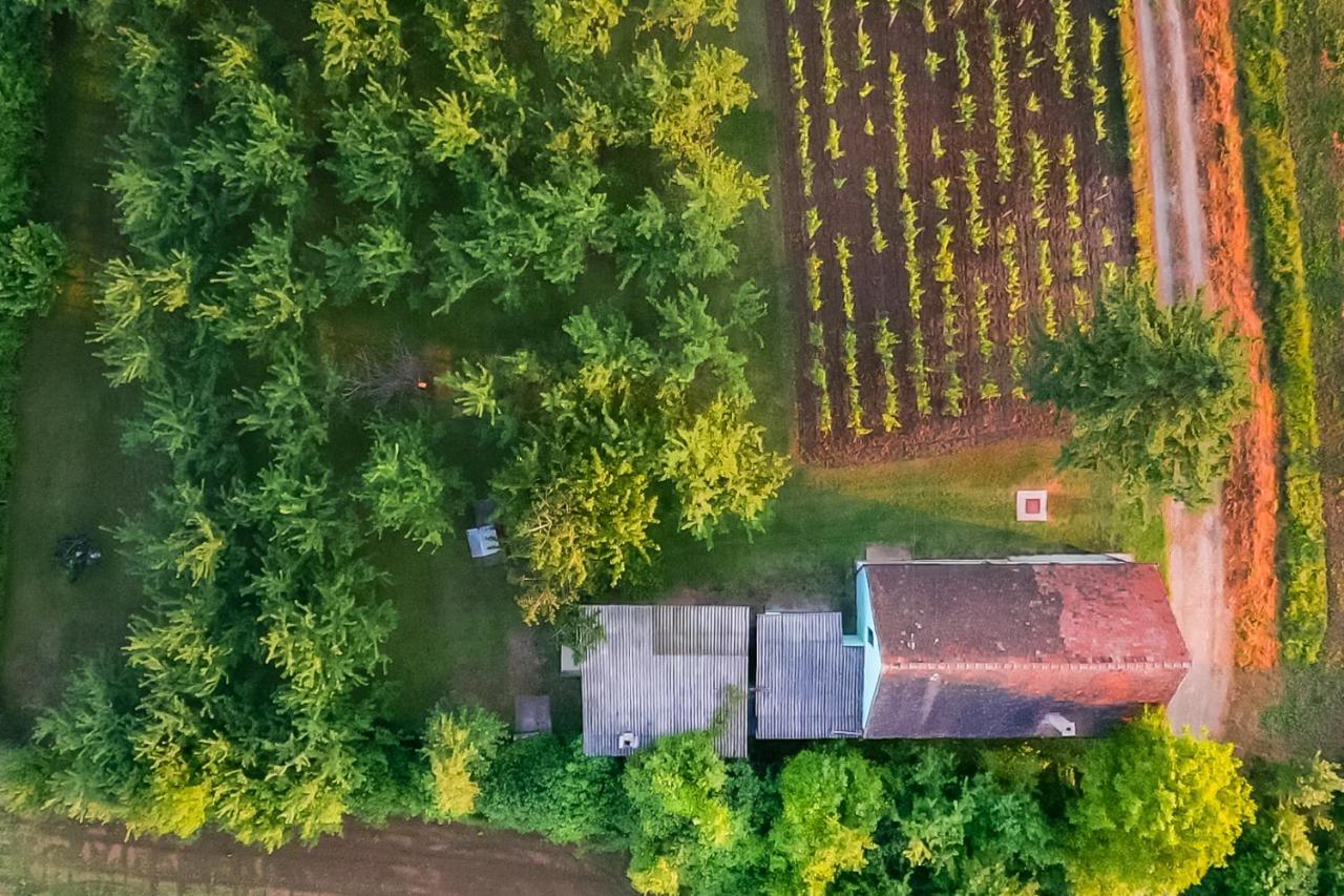Village Wine House Mandicevac المظهر الخارجي الصورة