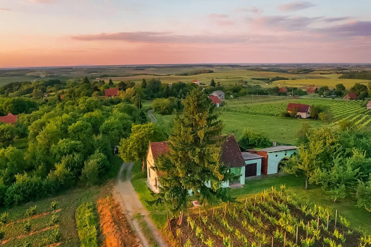 Village Wine House Mandicevac المظهر الخارجي الصورة