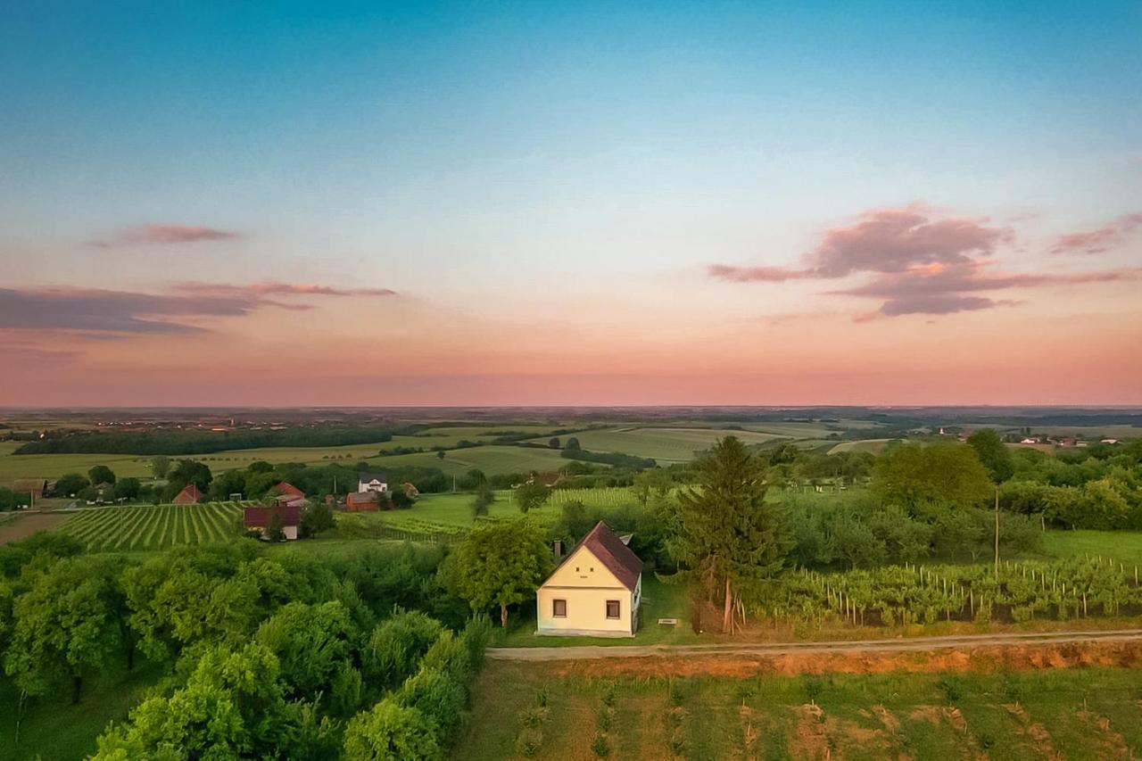 Village Wine House Mandicevac المظهر الخارجي الصورة
