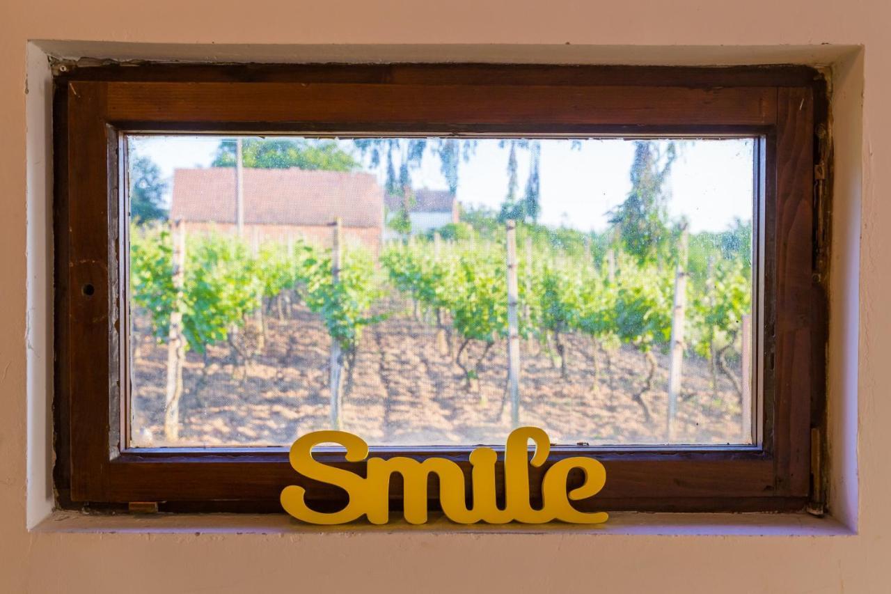 Village Wine House Mandicevac المظهر الخارجي الصورة
