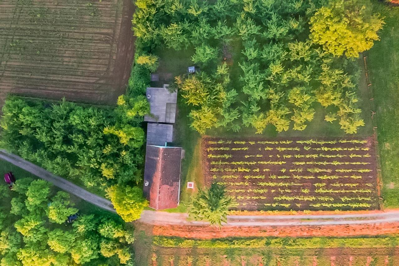 Village Wine House Mandicevac المظهر الخارجي الصورة