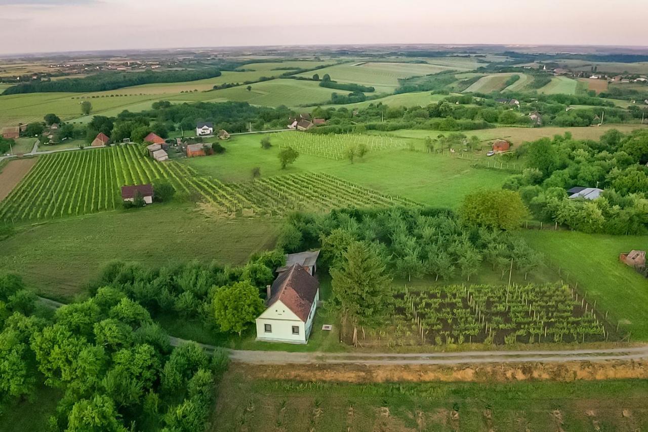 Village Wine House Mandicevac المظهر الخارجي الصورة