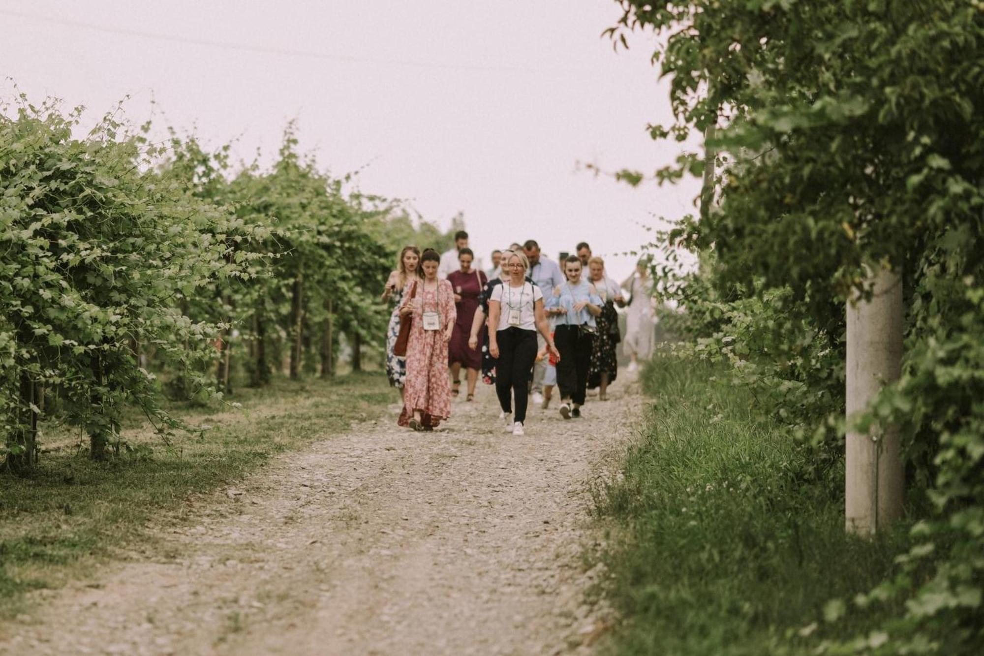 Village Wine House Mandicevac المظهر الخارجي الصورة